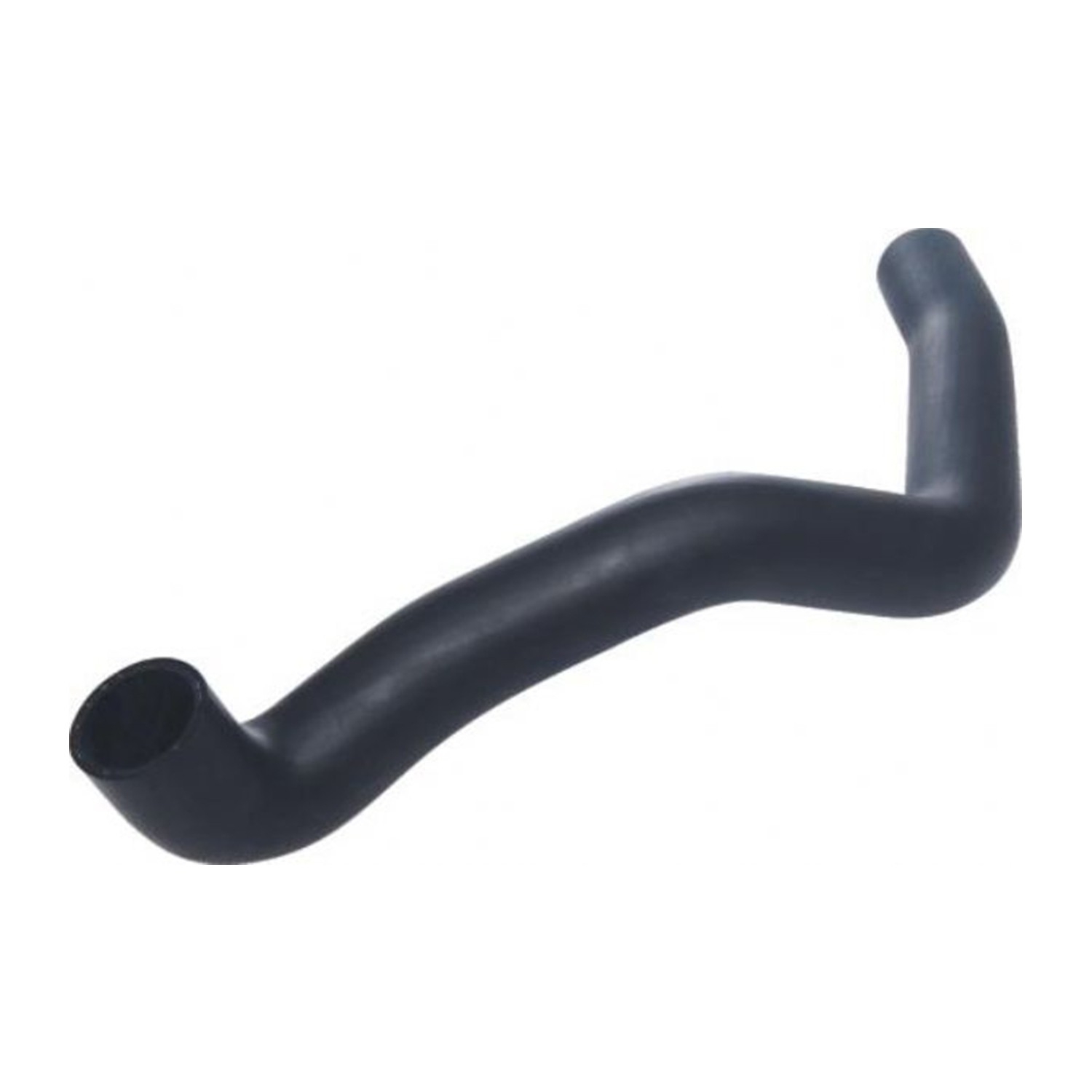 Radiator Lower Hose