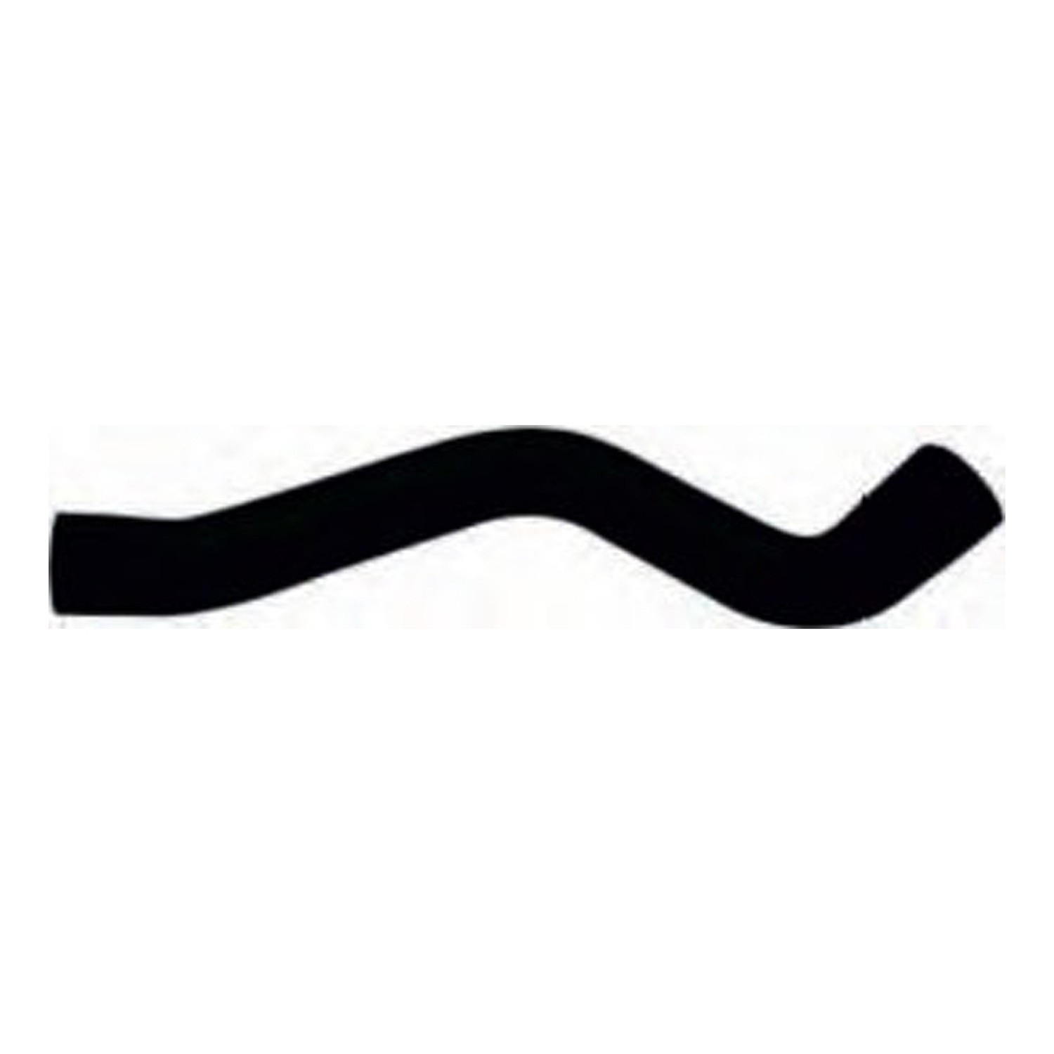Radiator Lower Hose