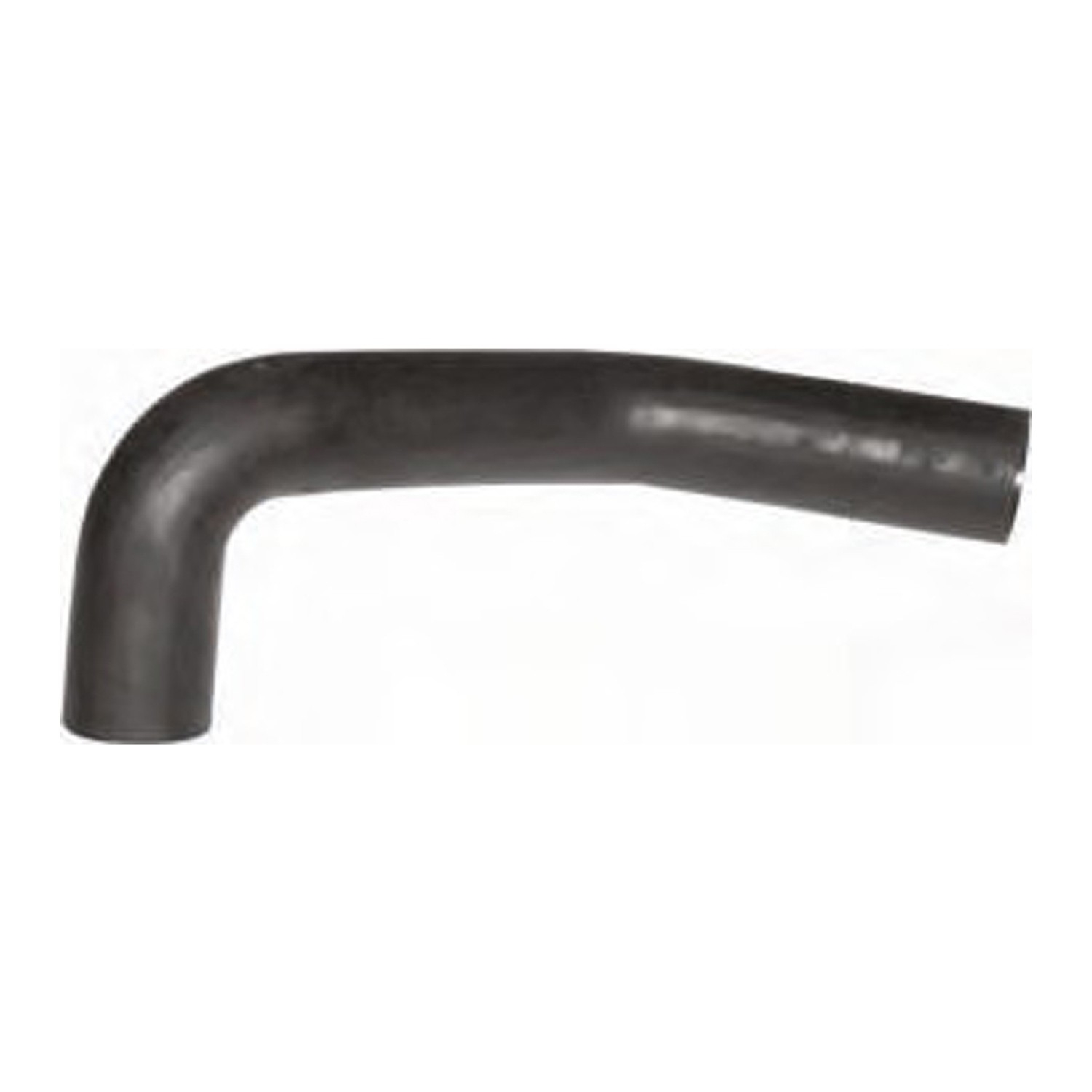 Radiator Lower Hose