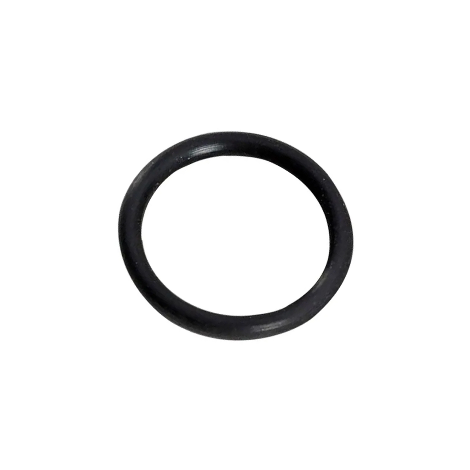 Water Pump Gasket